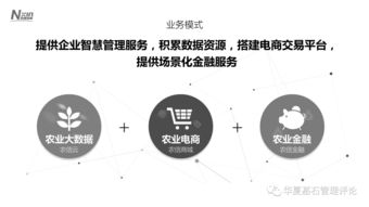 等風來，不如造風 農信互聯如何以數據服務打造產業互聯網新風口